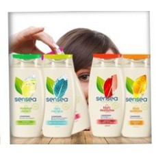 SHAMPOING CHEVEUX GRAS 190 ML*12