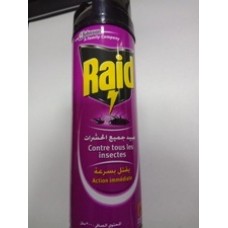 RAID 2003RAID AEROSOL TT INSECTES *48 300 ML